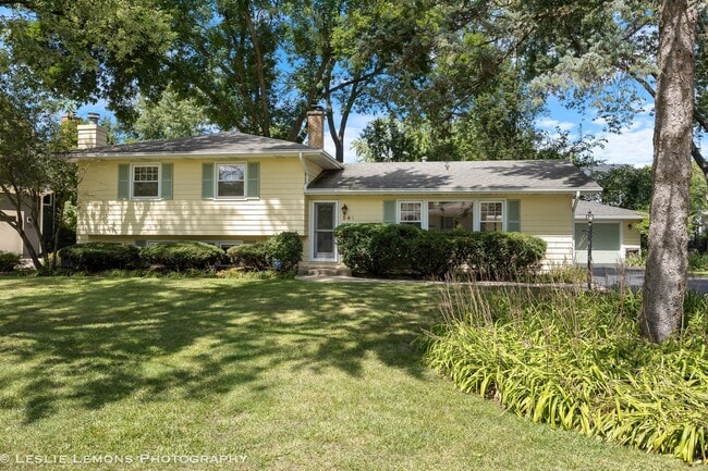 Primary Photo - 541 Cypress Dr