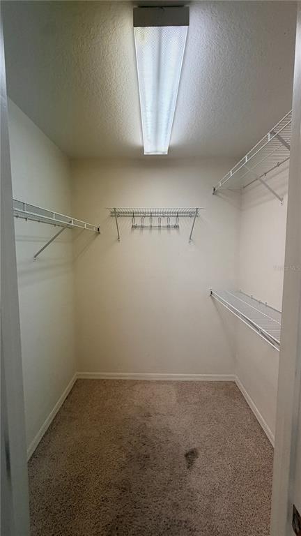 Building Photo - 2782 High Ridge Dr