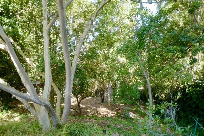 Building Photo - Coming Soon! Cozy home in South Pasadena.
