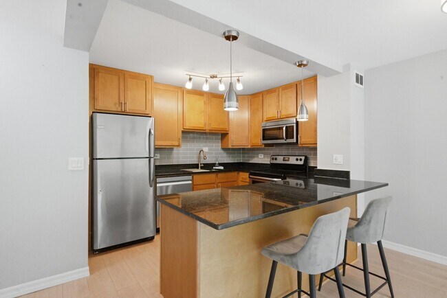 Building Photo - 1255 N Sandburg Terrace