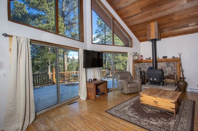 Building Photo - Stunning Fairplay Cabin available now for ...