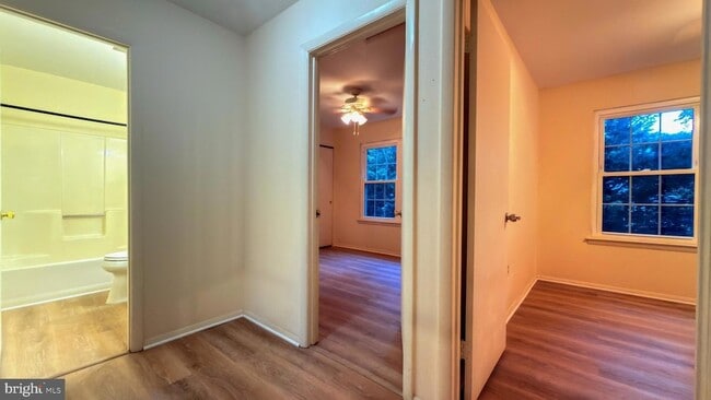 Building Photo - 18441 Cape Jasmine Way