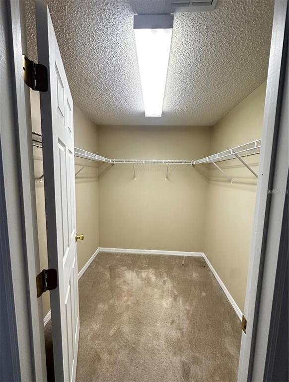 Building Photo - 1836 Sandy Creek Ln