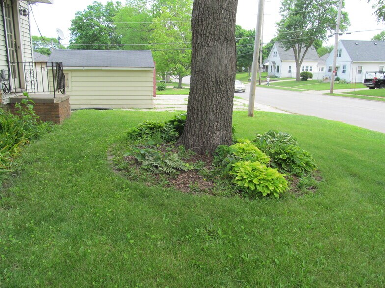 Side view with hosta beds around walnut tree - 2231 Hamilton St SW