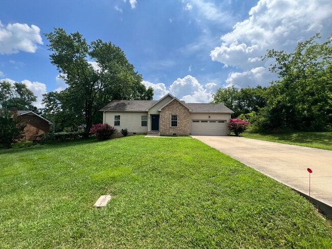 Building Photo - 505 Paula Dr