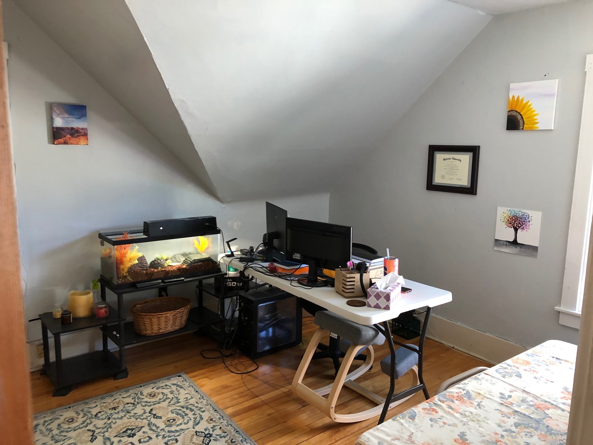 Building Photo - 904 Ackerman Ave