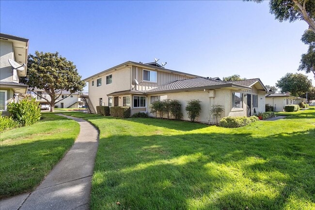 Primary Photo - 34842 Starling Dr