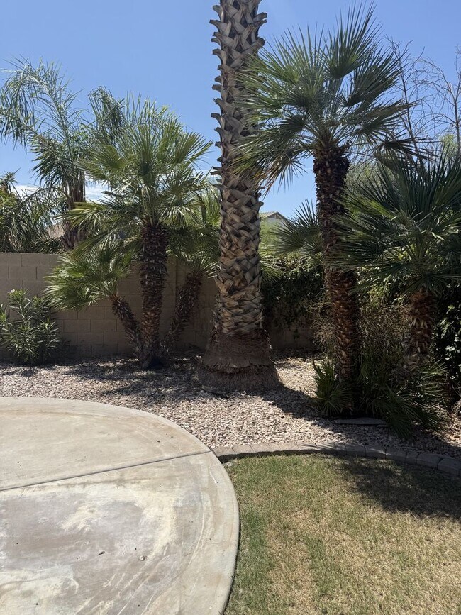 Building Photo - 4168 E Rainbow Dr