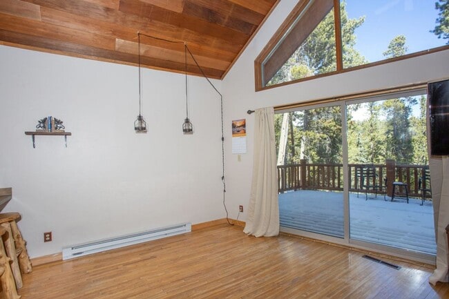 Building Photo - Stunning Fairplay Cabin available now for ...