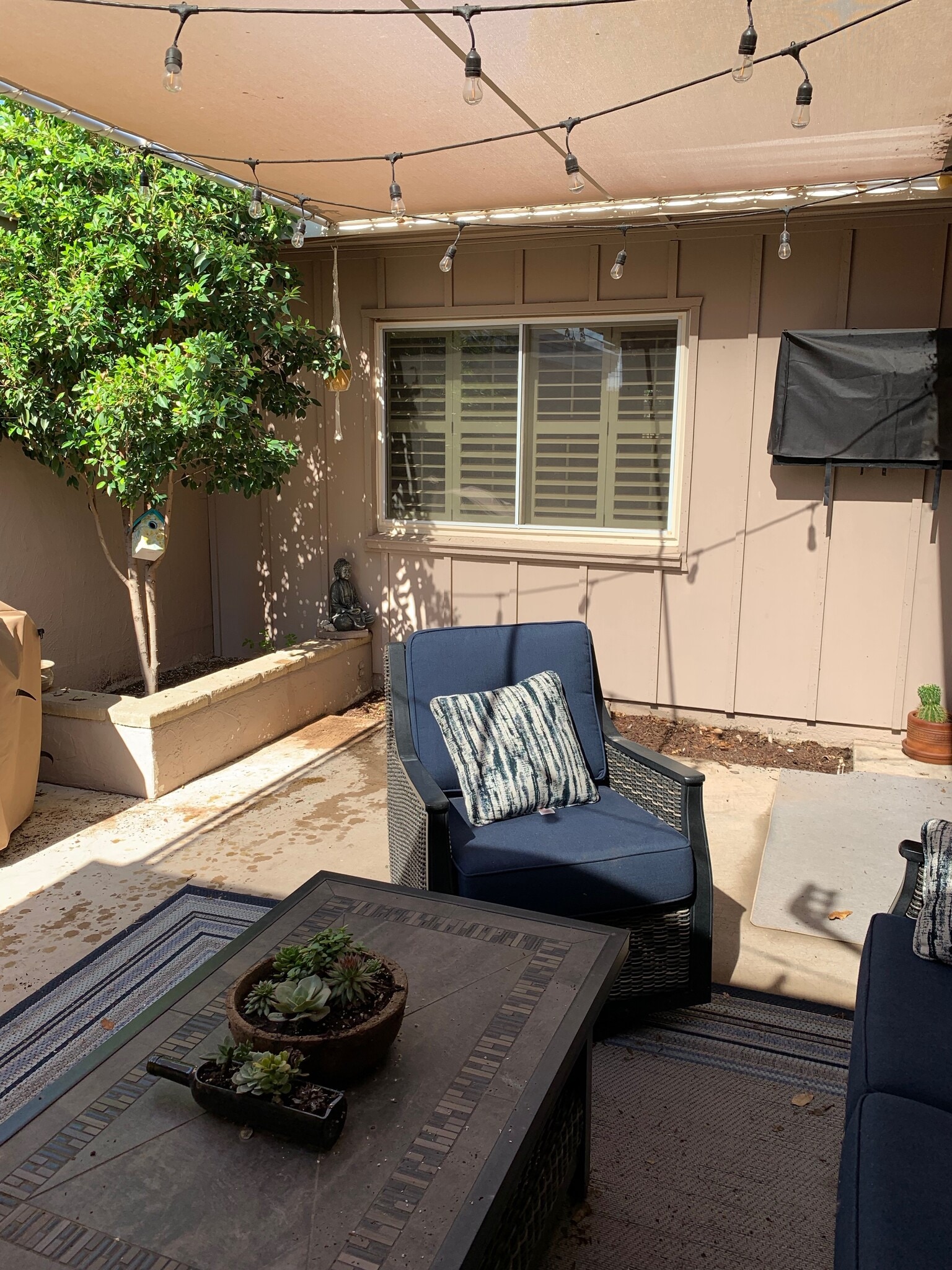 Patio - 5945 E Thomas Rd