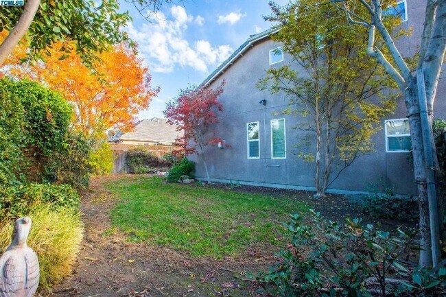 Building Photo - Available Now!