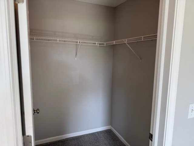 Master Closet - 1010 Carom Cir