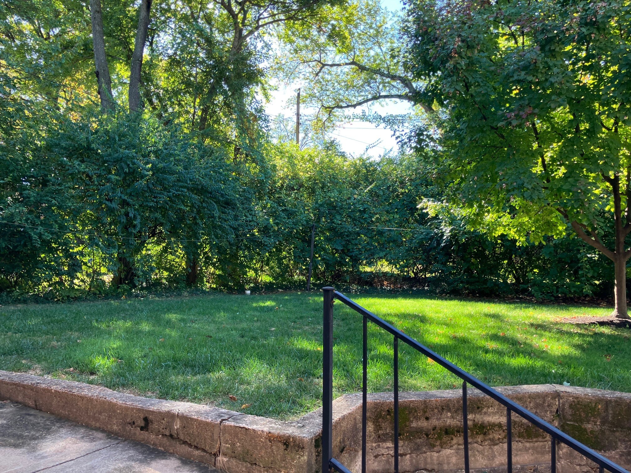 Large rear yard - 7808 Delmar Blvd