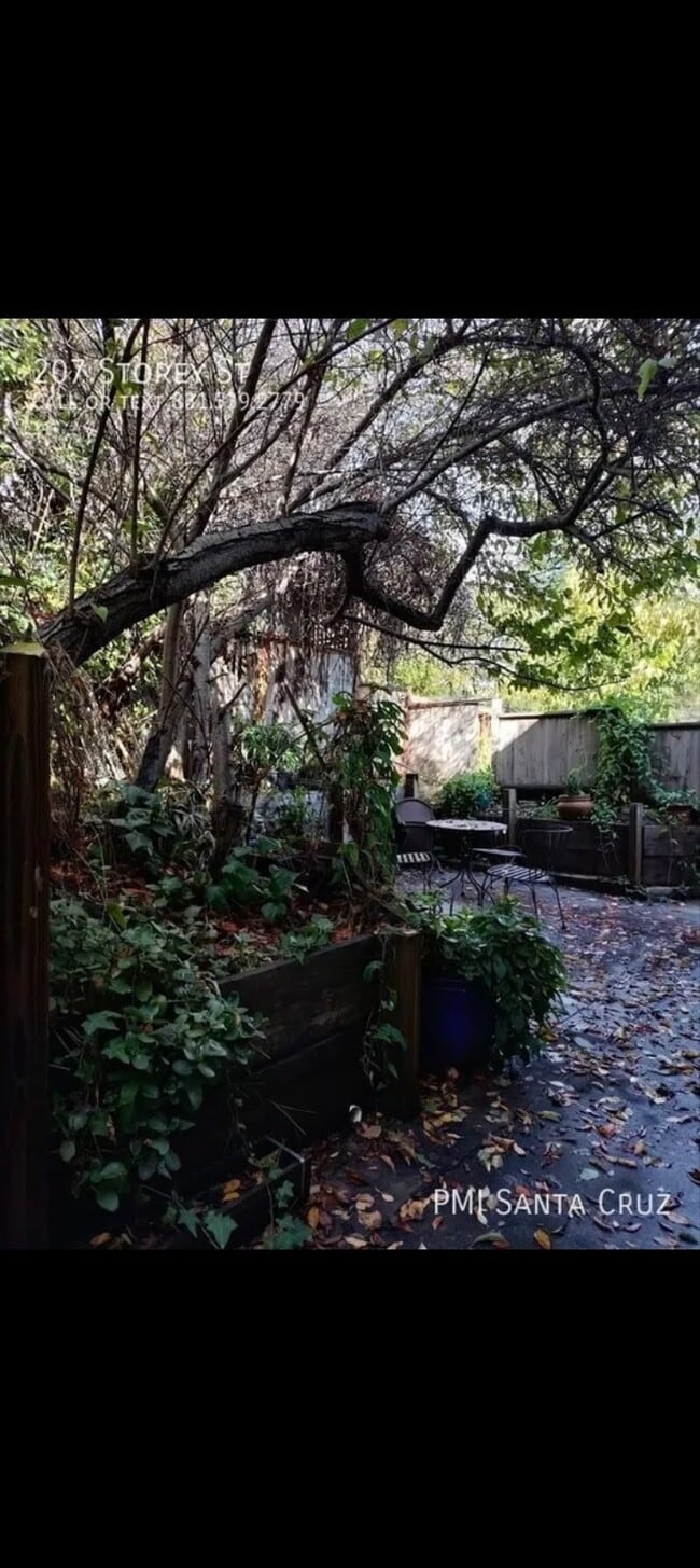 Building Photo - Charming Studio Apartment - West Side