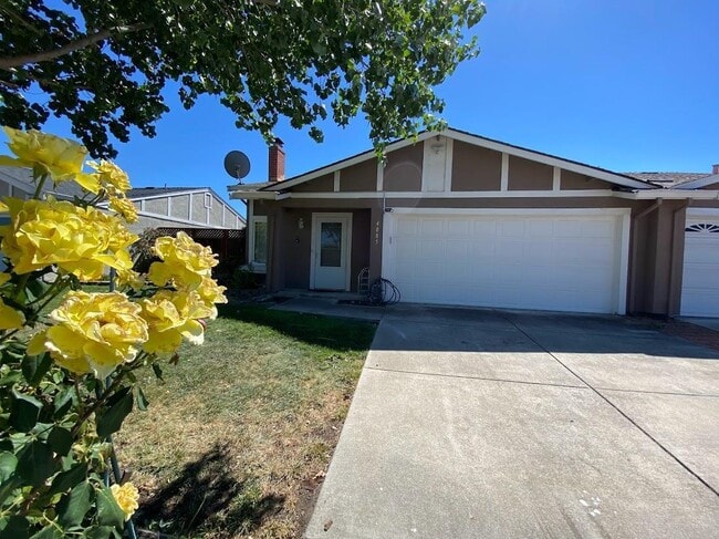Building Photo - 4085 Bristlecone Way