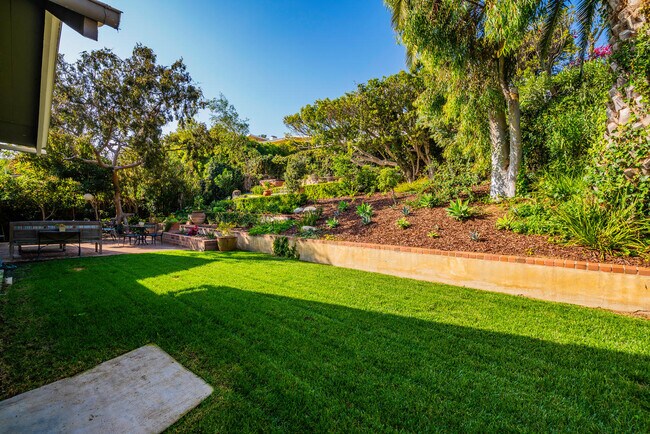 Grassy lawn - 16655 Marquez Ter