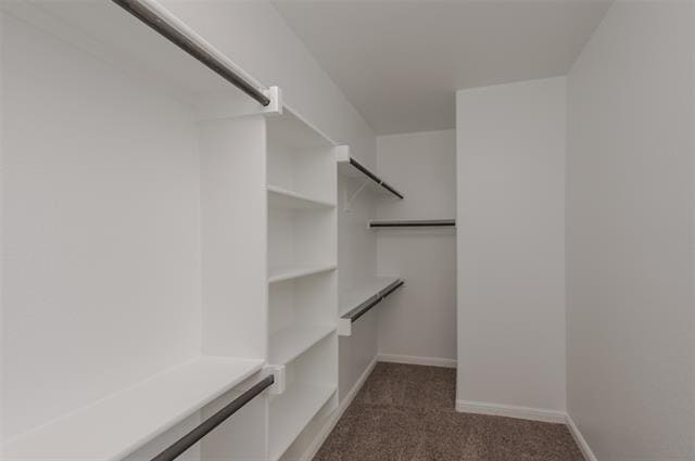 Building Photo - 4308 Lost Creek Rd