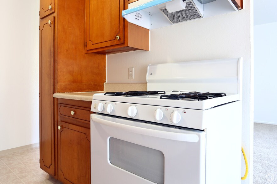 Primary Photo - Shannon South