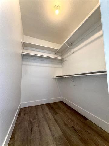 Building Photo - 4626 San Jacinto St