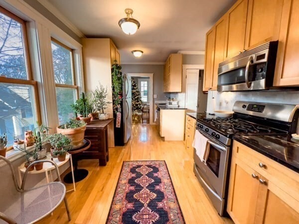 Building Photo - 23 Goldsmith St