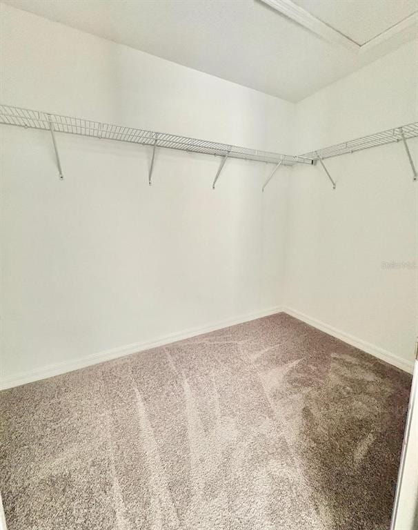 Building Photo - 10321 Trumpet Honeysuckle Wy