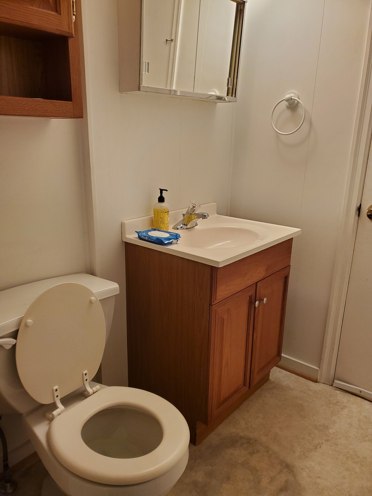 Powder room 1st floor - 507 W Mahoning St