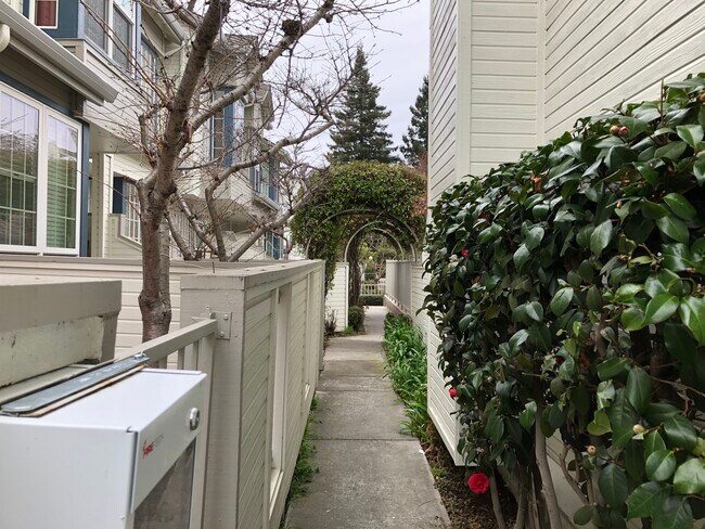 Building Photo - 979 Belmont Ter