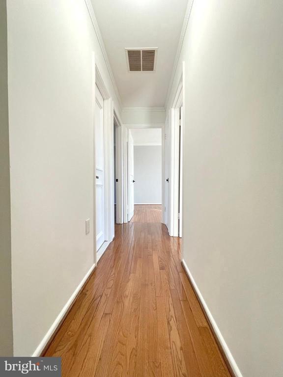 Building Photo - 27 Chantilly Ct