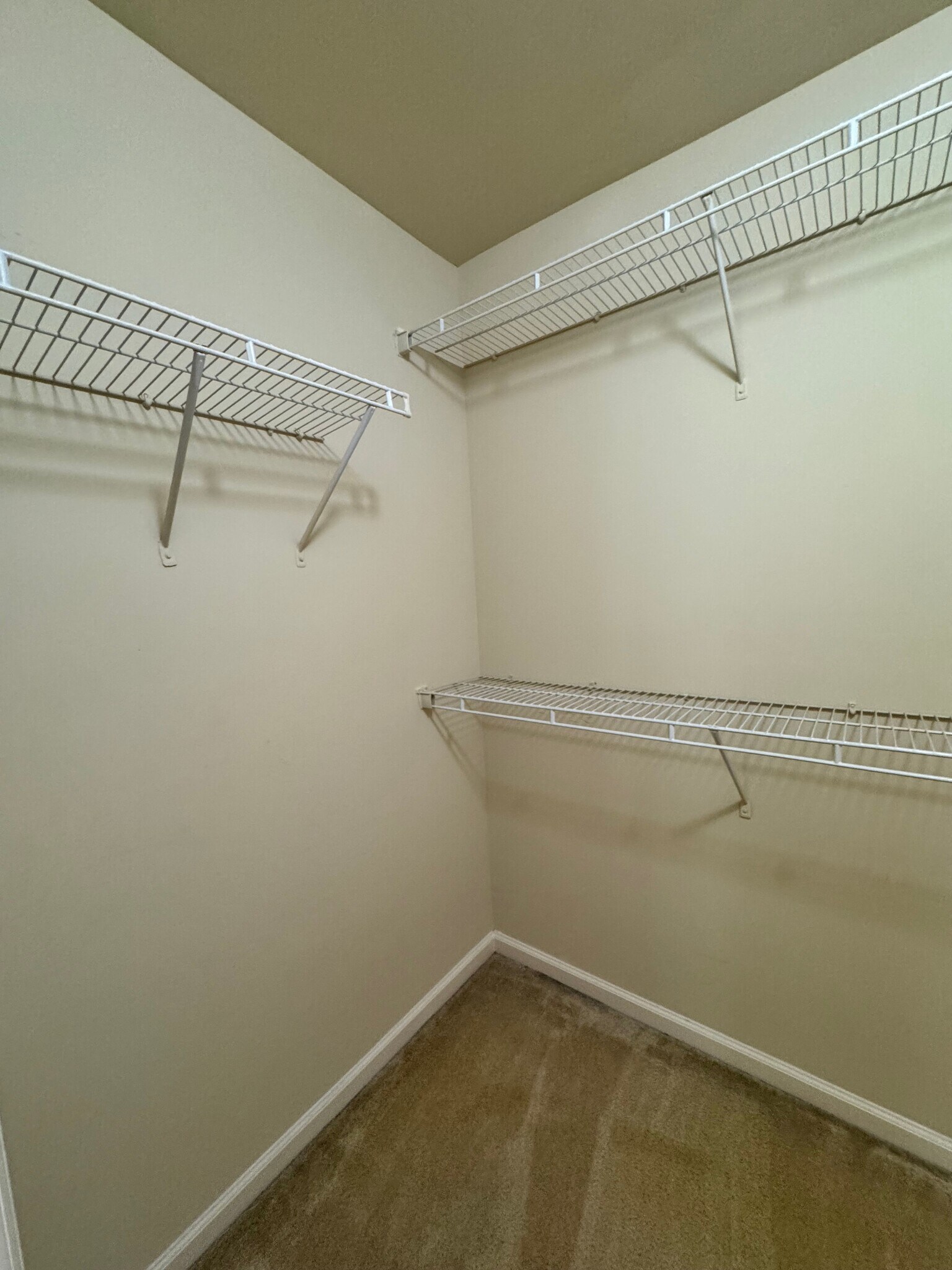 Building Photo - 6215 Elmshorn Way