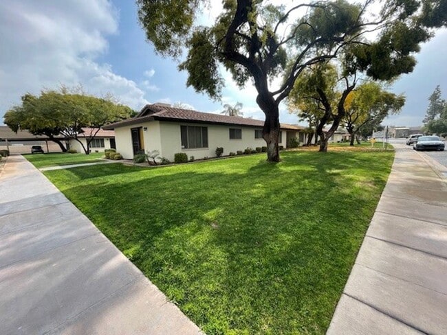 Interior Photo - 5105 S La Rosa Dr