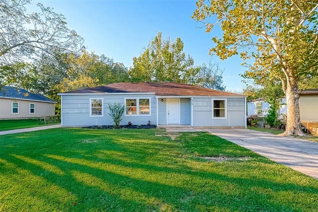 Primary Photo - Bluebonnet