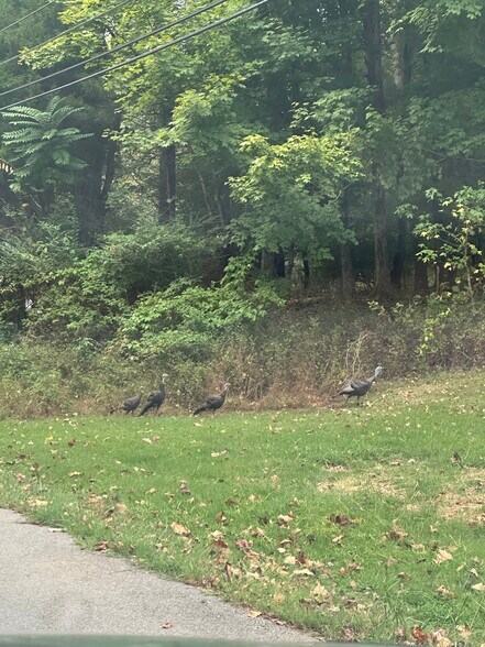 Building Photo - 939 Kingsbury Dr