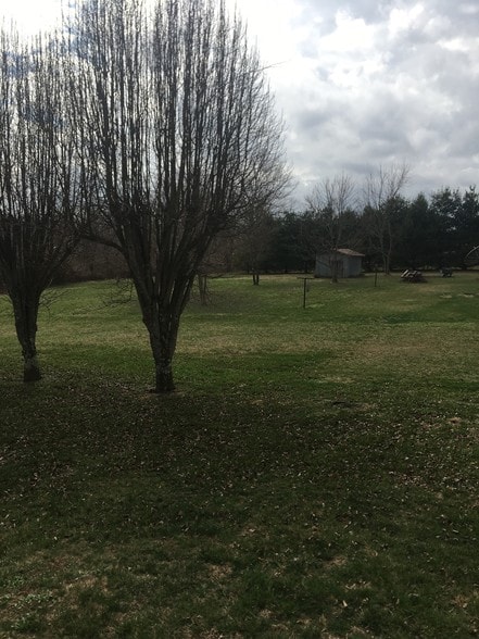 Backyard area - 26 Carol Ln