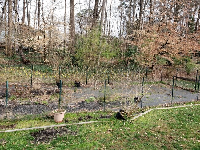 Building Photo - 4 Bed | 2 Bath House in Raleigh
