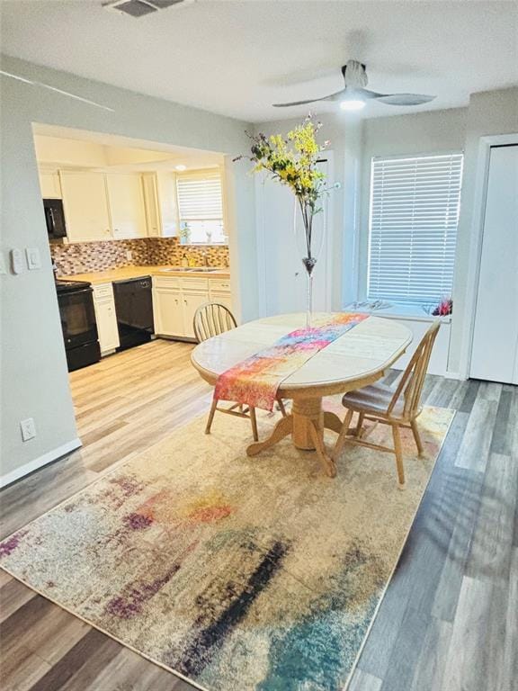 Building Photo - 513 White Wing Way