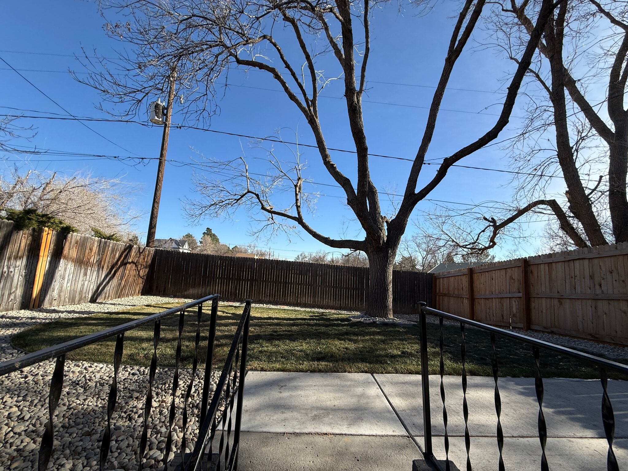 New Landscaped Yard - 5918 Newcombe Ct