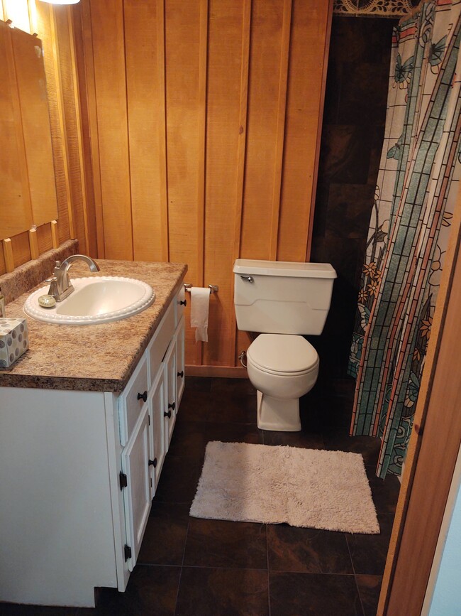 Bathroom - 297 Knoll Dr