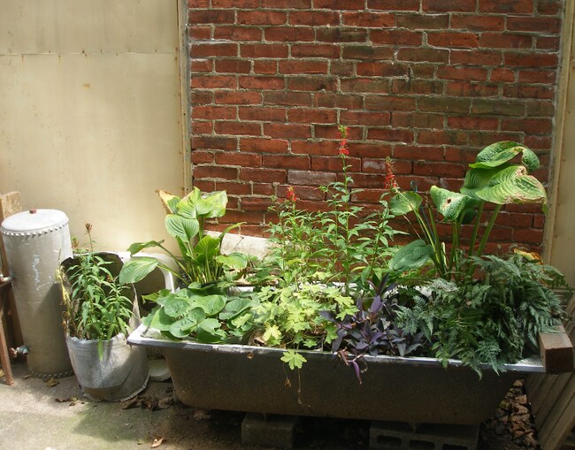 Building Photo - 550 E Washington Ln