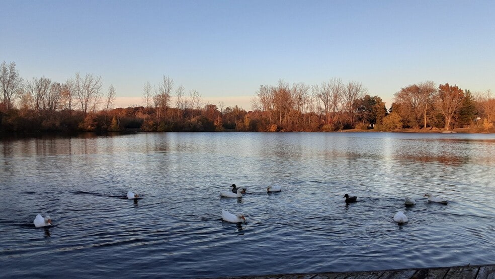 Building Photo - 11737 21 Mile Rd