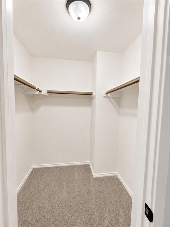 Building Photo - 1531 Brandi Cir