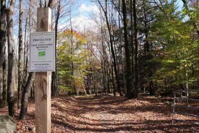 Building Photo - 60 Ruth Way Rd