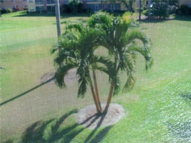 Building Photo - 1939 SW Palm City Rd