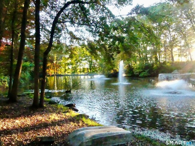 Building Photo - 50 Aiken St