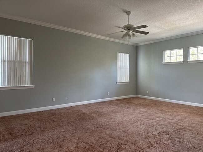 Building Photo - SOUTH TAMPA CUSTOM HOME