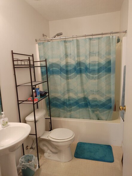Full Hall Bath - 141 Brookland Ter