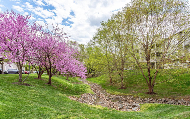 Building Photo - 11711 Olde English Dr