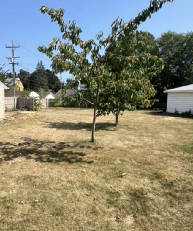 Backyard - 4724 N 88th Ct