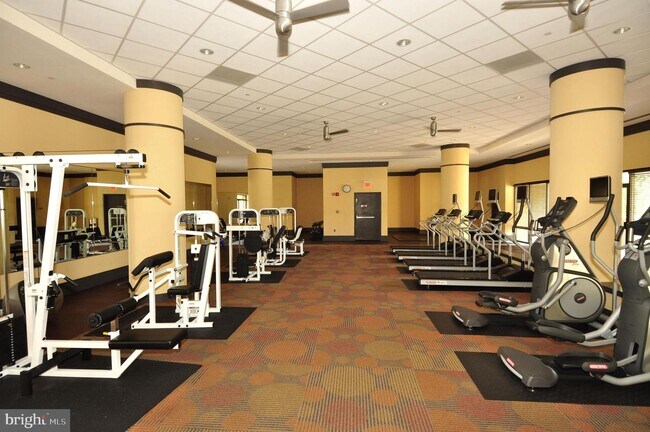 Building Photo - 4500 S Four Mile Run Dr