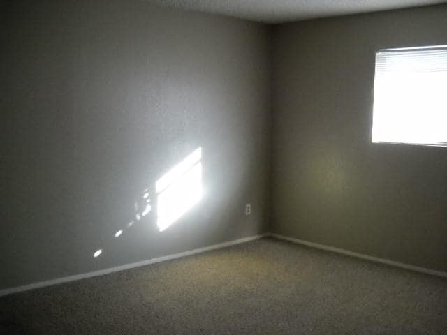 Building Photo - 925 Minter Ln