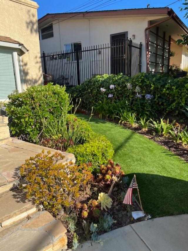 Water-friendly, native flora in front yard - 2812 Anchor Ave